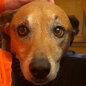 Meet your Posher, Chloe